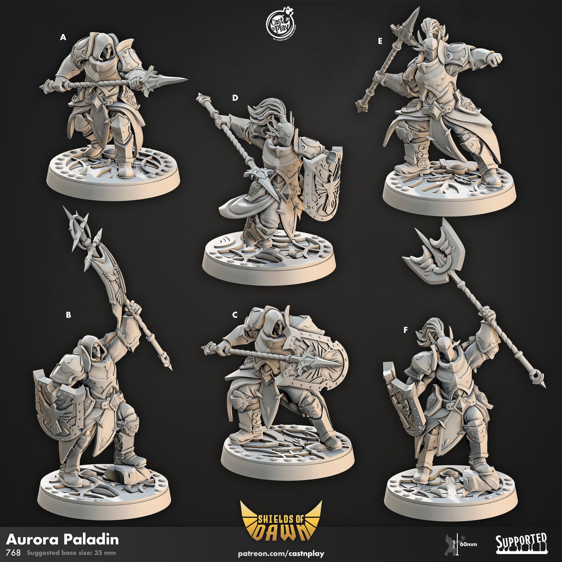 Aurora Paladin Shields of Dawn | CastnPlay | Compatible with D&D/AoS | Fantasy