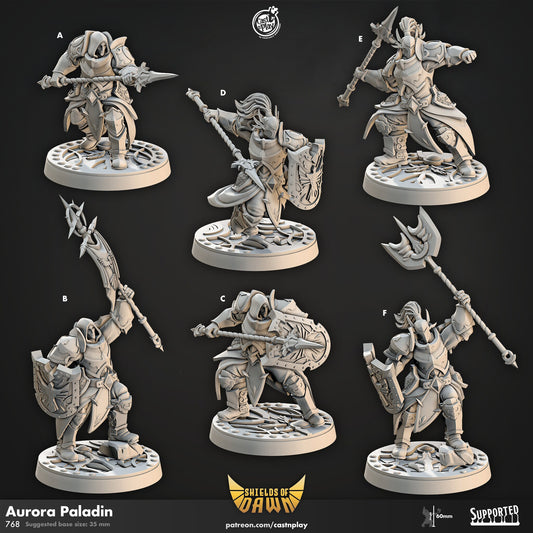 Aurora Paladin Shields of Dawn | CastnPlay | Compatible with D&D/AoS | Fantasy