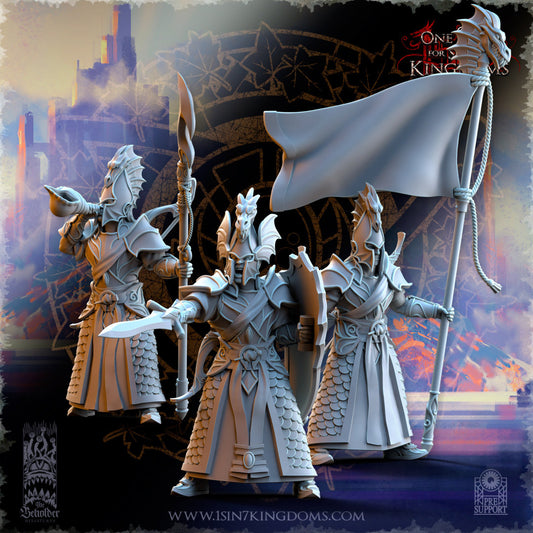SilverMoor Elf Ilithien Command unit | The Beholder Miniatures | Compatible with D&D/AoS | Fantasy | Tabletop RPG