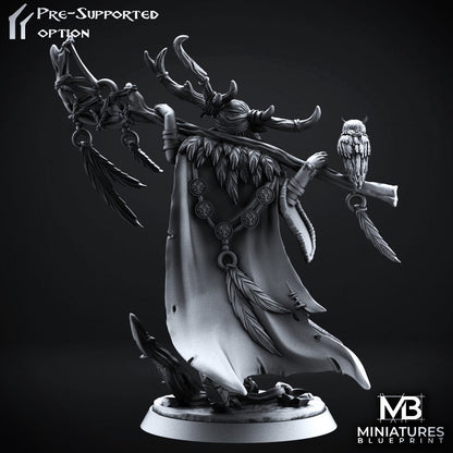 Female Elf Druid Drelia | Miniatures Blueprint | Compatible with D&D/AoS | Fantasy