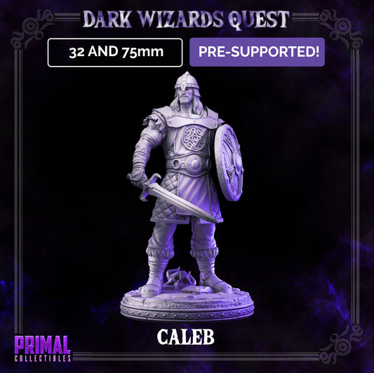 Men at Arms Mercenary | Primal Collectibles | Compatible with D&D/AoS | Fantasy
