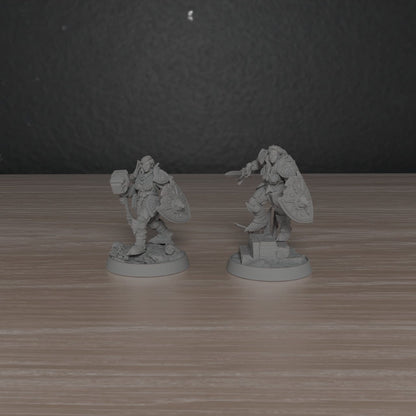 Female Paladins of the Silver Lion | DayBreak Miniatures | Compatible with D&D/AOS | Fantasy | Tabletop