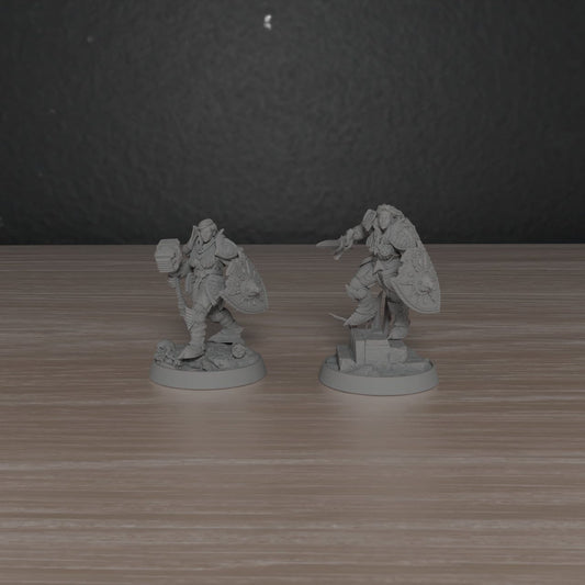Female Paladins of the Silver Lion | DayBreak Miniatures | Compatible with D&D/AOS | Fantasy | Tabletop