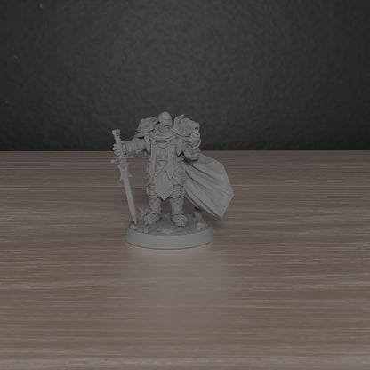 Paladin Commander of the Silver Lion | DayBreak Miniatures | Compatible with D&D/AOS | Fantasy | Tabletop
