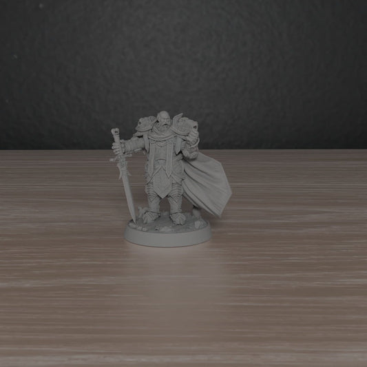 Paladin Commander of the Silver Lion | DayBreak Miniatures | Compatible with D&D/AOS | Fantasy | Tabletop