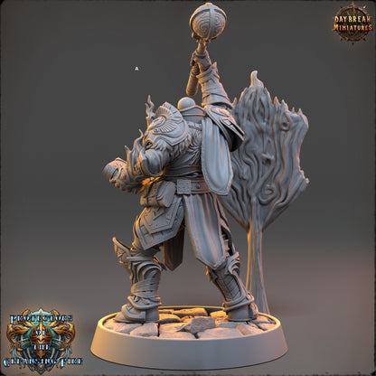 Mage of the Cleansing Flame | DayBreak Miniatures | Compatible with D&D/AOS | Fantasy | Tabletop