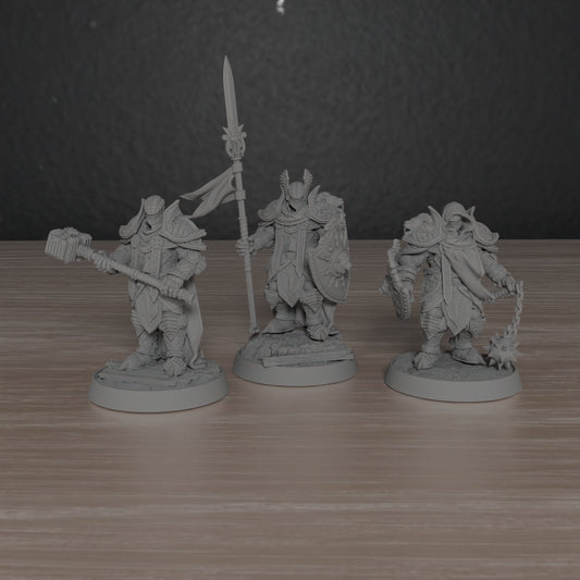 Paladin Knights of the Silver Lion | DayBreak Miniatures | Compatible with D&D/AOS | Fantasy | Tabletop