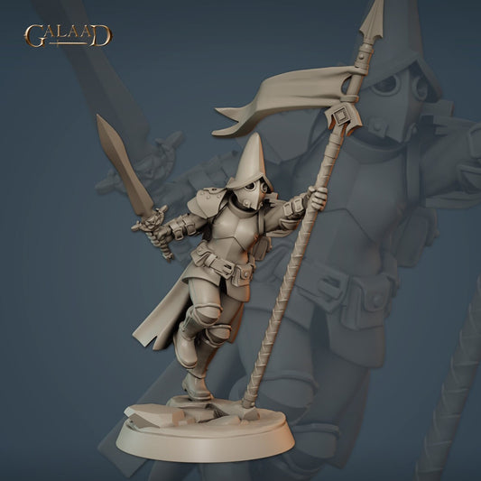 Human Vanguard Standard Bearer | Galaad Miniatures | Compatible with D&D/AoS | Fantasy | Tabletop RPG