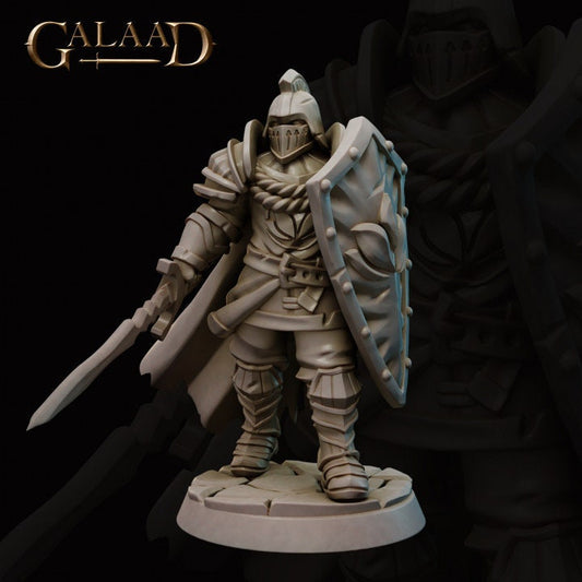 a statue of a knight with a sword and shield
