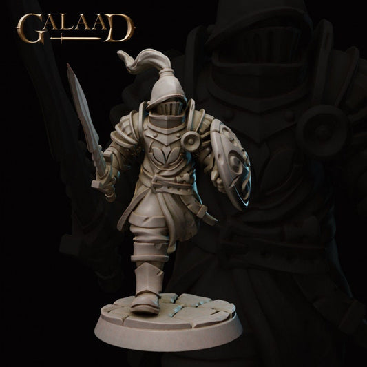 a statue of a knight holding a sword
