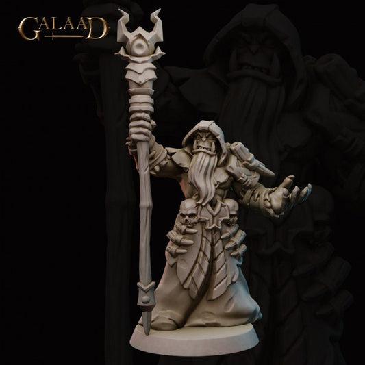 a statue of a wizard holding a staff