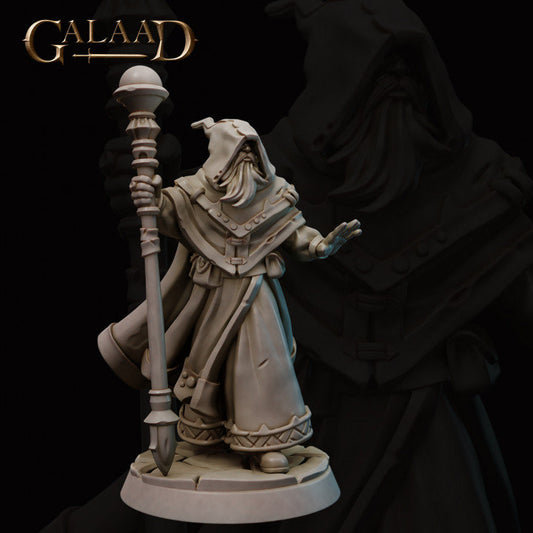 a statue of a wizard holding a staff