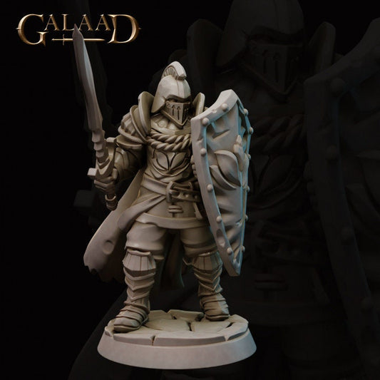 a statue of a knight holding a sword