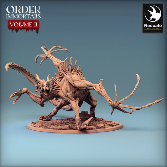 Immortalis Drake Attack Skinless | Rescale Miniatures | Compatible with D&D/AoS | Fantasy | Tabletop RPG