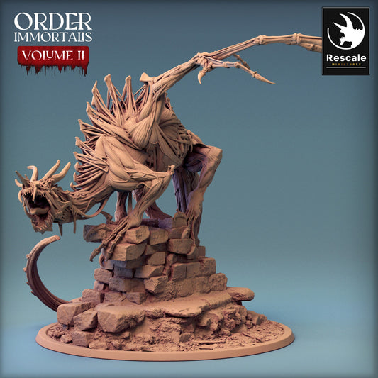 Immortalis Drake Guard Skinless | Rescale Miniatures | Compatible with D&D/AoS | Fantasy | Tabletop RPG