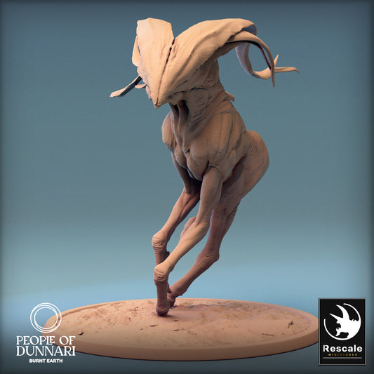 Dunnari Wind Glide Gallop Wild | Rescale Miniatures | Compatible with D&D/AoS | Fantasy | Tabletop RPG