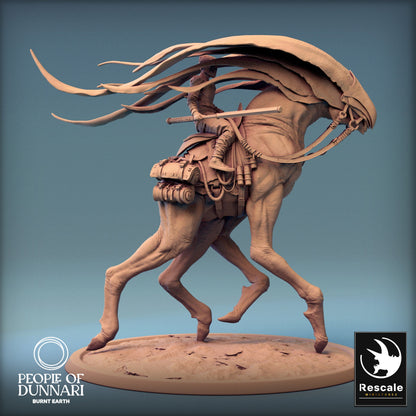 Dunnari Wind Glide Walk No Cape | Rescale Miniatures | Compatible with D&D/AoS | Fantasy | Tabletop RPG