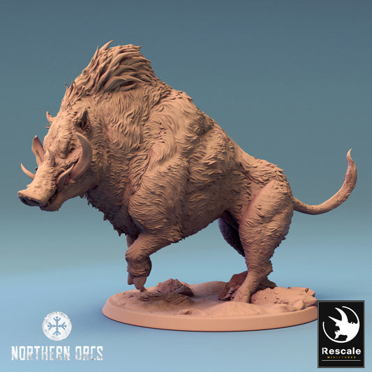 Boar Charge Wild | Rescale Miniatures | Compatible with D&D/AoS | Fantasy | Tabletop RPG
