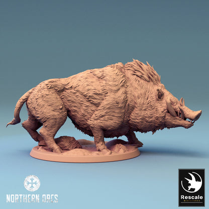Boar Guard Wild | Rescale Miniatures | Compatible with D&D/AoS | Fantasy | Tabletop RPG