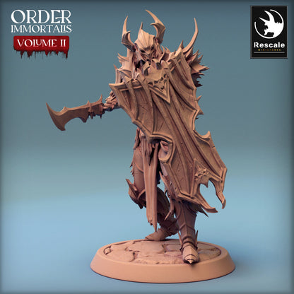 Immortalis Draven Full Armor Lance and Shield | Rescale Miniatures | Compatible with D&D/AoS | Fantasy | Tabletop RPG