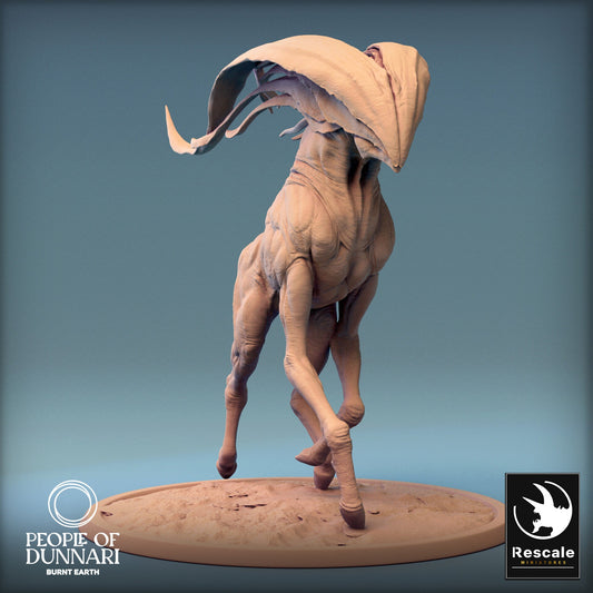 Dunnari Wind Glide Walk Wild | Rescale Miniatures | Compatible with D&D/AoS | Fantasy | Tabletop RPG