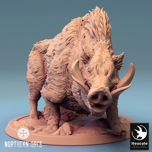 Boar Guard Wild | Rescale Miniatures | Compatible with D&D/AoS | Fantasy | Tabletop RPG
