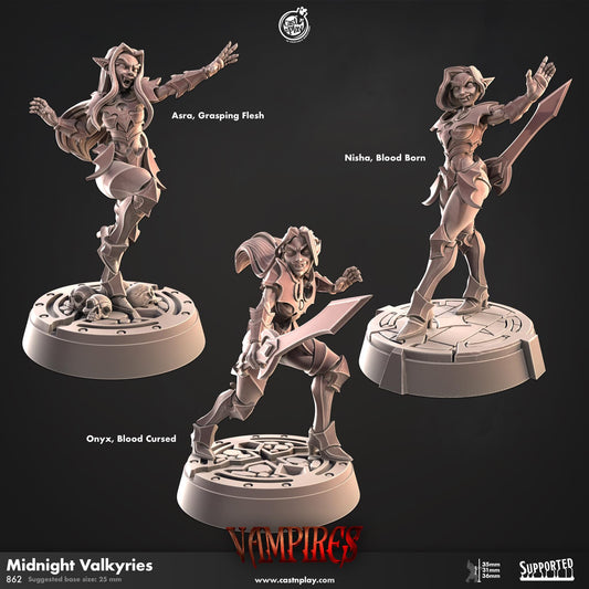 Midnight Valkyries | CastnPlay Miniatures | Compatible with D&D/AoS | Fantasy | Tabletop RPG