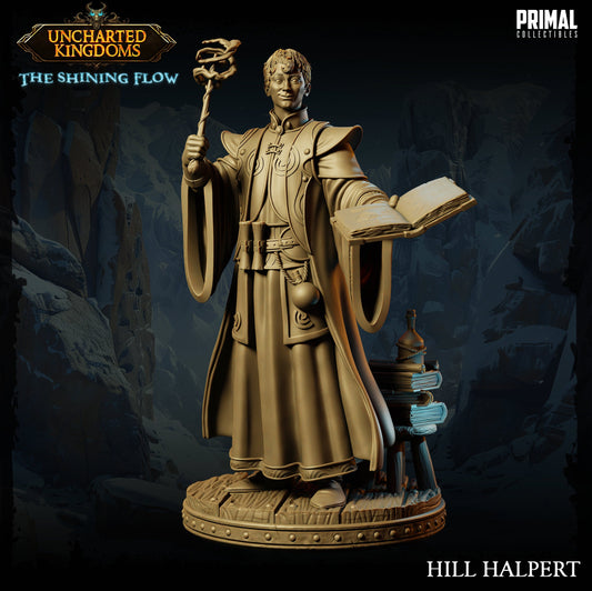 Wizard Hill Halpert | Primal Collectibles | Compatible with D&D/AoS | Fantasy