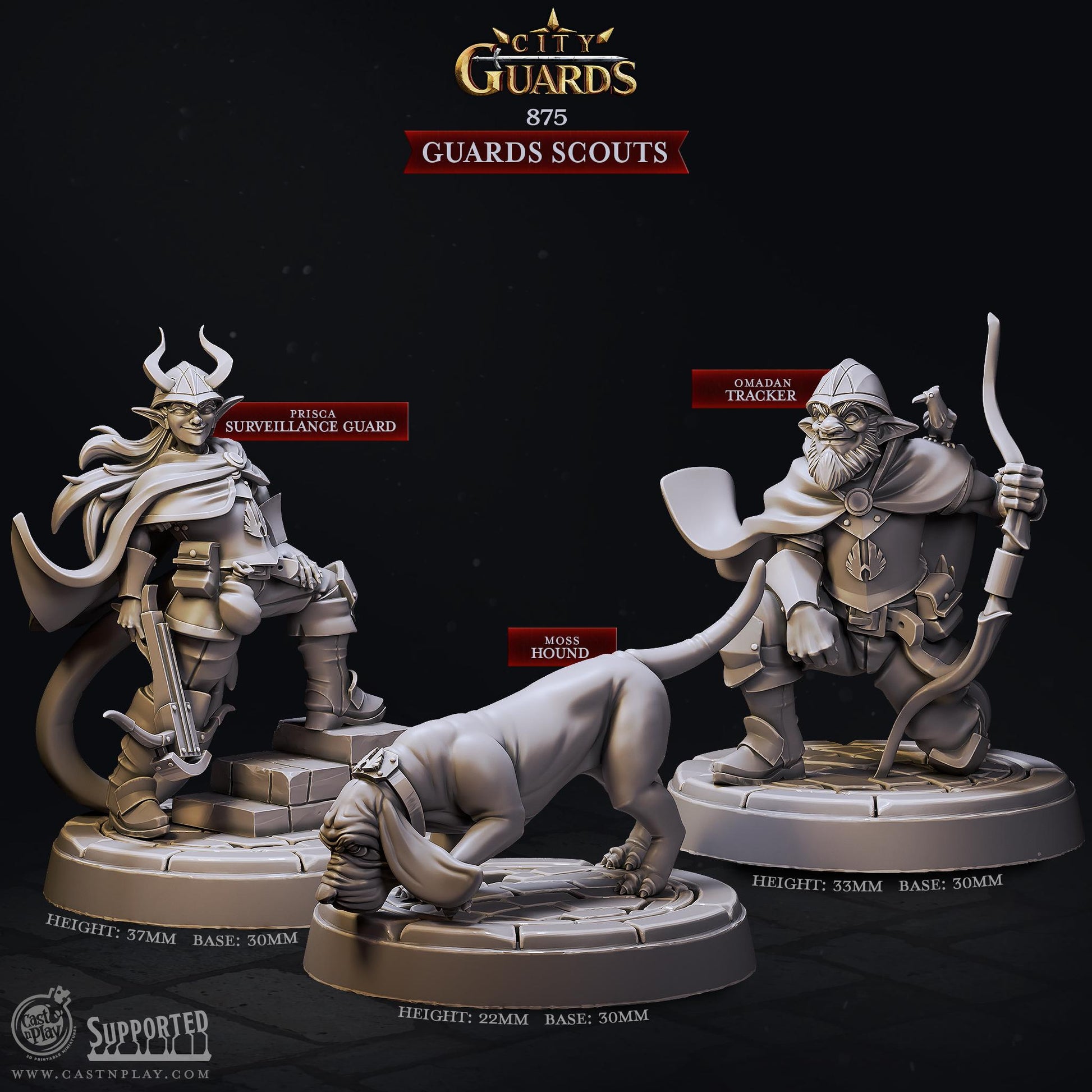 Guards Scouts | CastnPlay | Compatible with D&D/AoS | Fantasy
