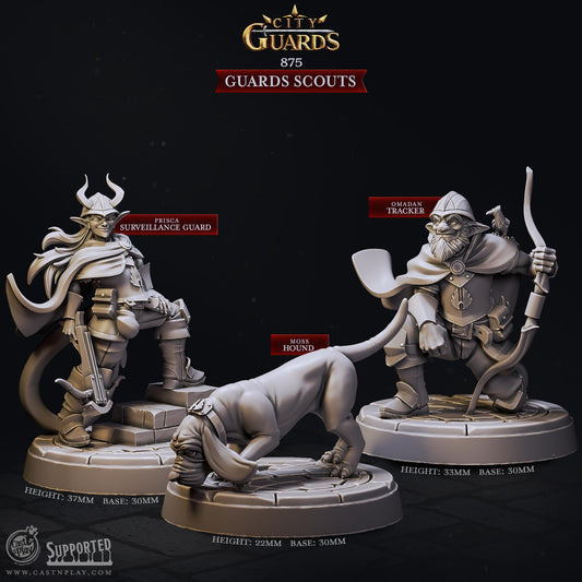 Guards Scouts | CastnPlay | Compatible with D&D/AoS | Fantasy