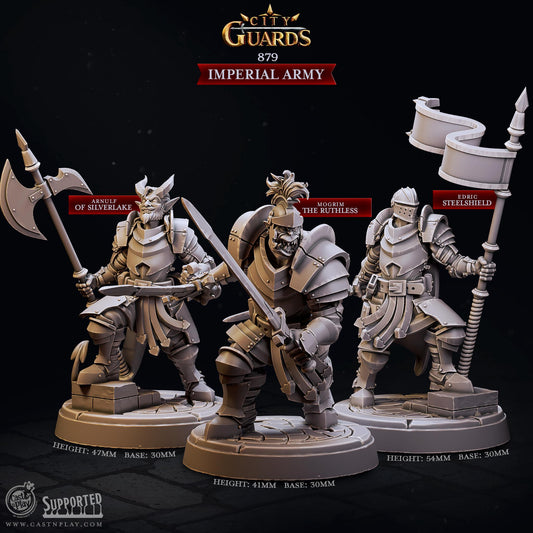 Imperial Army | CastnPlay | Compatible with D&D/AoS | Fantasy