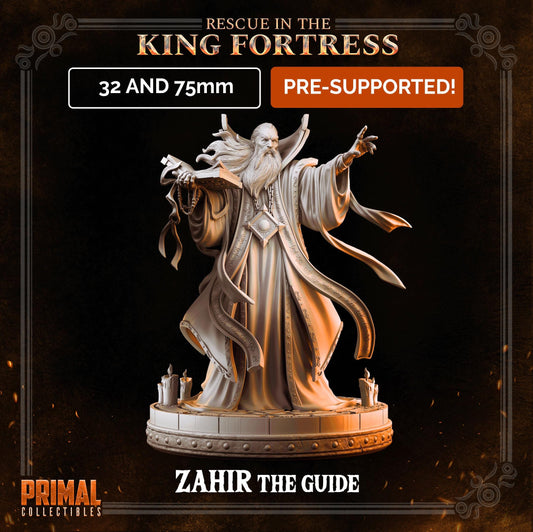Dungeon Master Zahir the Guide | Primal Collectibles | Compatible with D&D/AoS | Fantasy