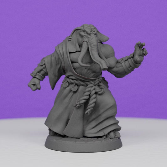 Ivory Priest | Artisan Guild Miniatures | Compatible with D&D/AoS | Fantasy | Tabletop RPG