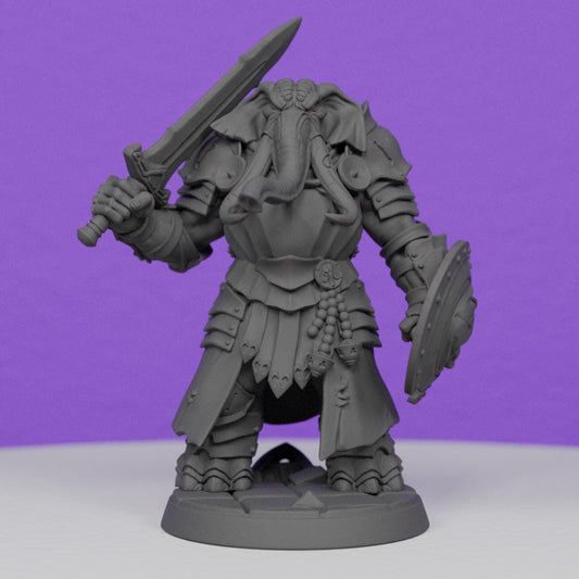 Ivory Sentinel with Broadsword and Shield | Artisan Guild Miniatures | Compatible with D&D/AoS | Fantasy | Tabletop RPG