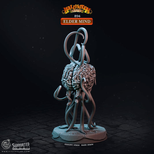 Elder Mind | CastnPlay | Compatible with D&D/AoS | Fantasy | Tabletop RPG