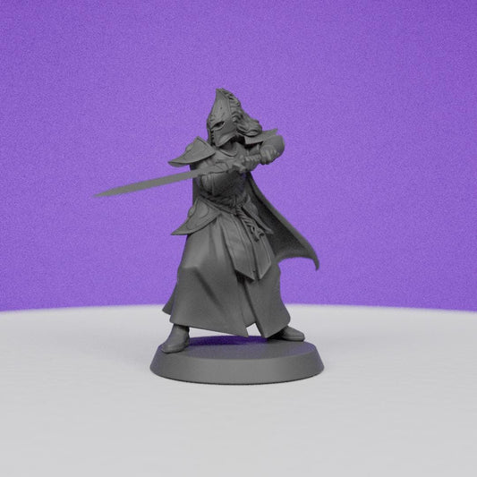 Elf Warrior Elite | Galaad Miniatures | Compatible with D&D/AoS | Fantasy | Tabletop RPG