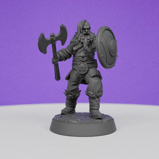 Northwind Vikings Axe and Shield | CastnPlay | Compatible with D&D/AoS | Fantasy | Tabletop RPG