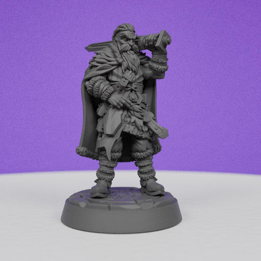 Northwind Vikings Swordman | CastnPlay | Compatible with D&D/AoS | Fantasy | Tabletop RPG