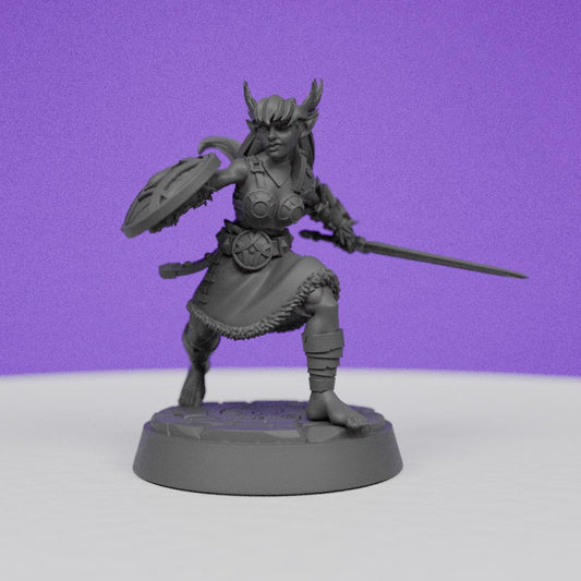 Northwind Vikings Shield Valkyrie | CastnPlay | Compatible with D&D/AoS | Fantasy | Tabletop RPG