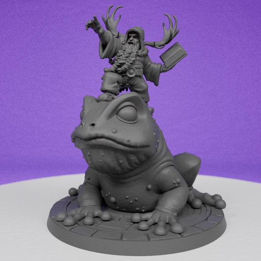 Dwarf Druid Toad Rider | CastnPlay Miniatures | Compatible with D&D/AoS | Fantasy | Tabletop RPG