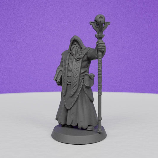 Royal Wizard | Galaad Miniatures | Compatible with D&D/AoS | Fantasy | Tabletop RPG