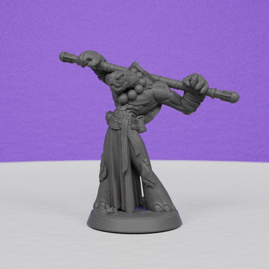 Tortle Monk | Miniatures Blueprint | Compatible with D&D/AoS | Fantasy