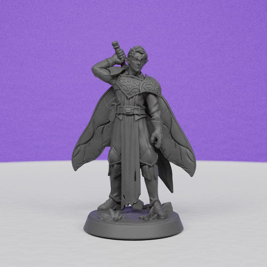 Luc Pixie Warrior | Miniatures Blueprint | Compatible with D&D/AoS | Fantasy