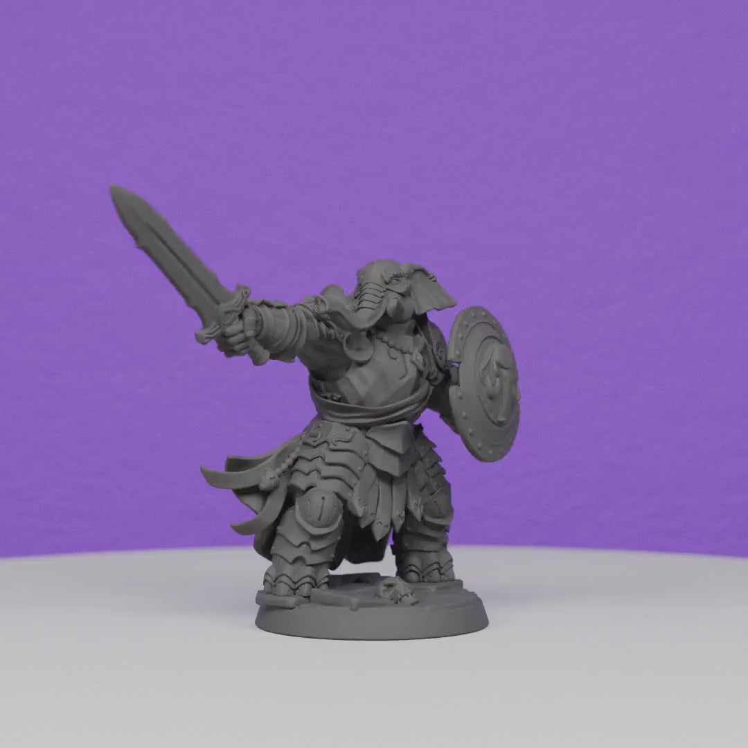 Ivory Sentinel with Broadsword and Buckler Shield | Artisan Guild Miniatures | Compatible with D&D/AoS | Fantasy | Tabletop RPG