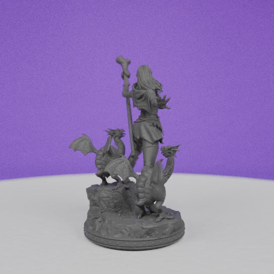 Female Half Elf Yllaaga | Primal Collectibles | Compatible with D&D/AoS | Fantasy