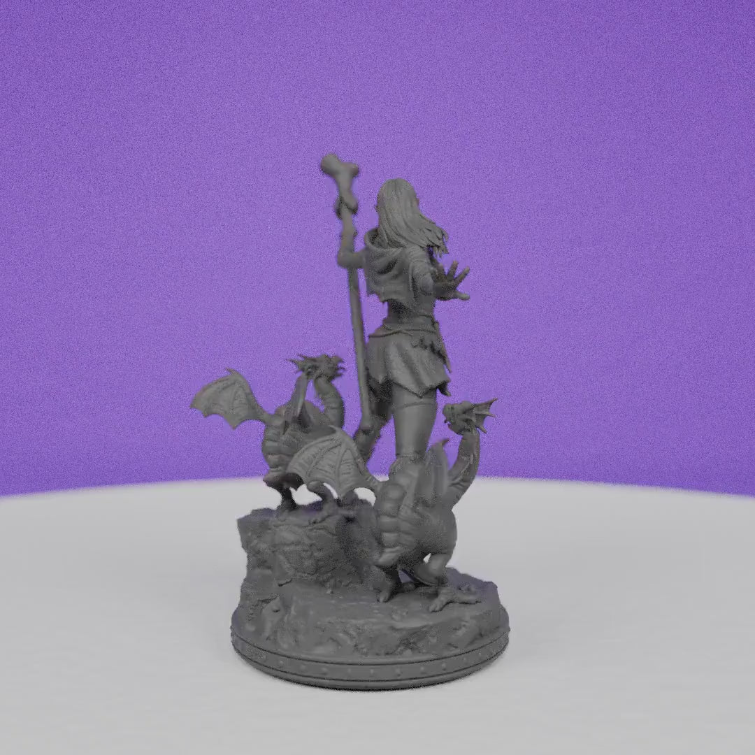 Female Half Elf Yllaaga | Primal Collectibles | Compatible with D&D/AoS | Fantasy