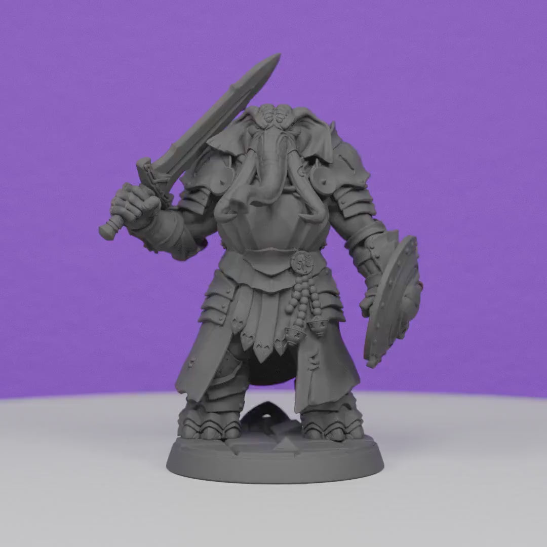Ivory Sentinel with Broadsword and Shield | Artisan Guild Miniatures | Compatible with D&D/AoS | Fantasy | Tabletop RPG