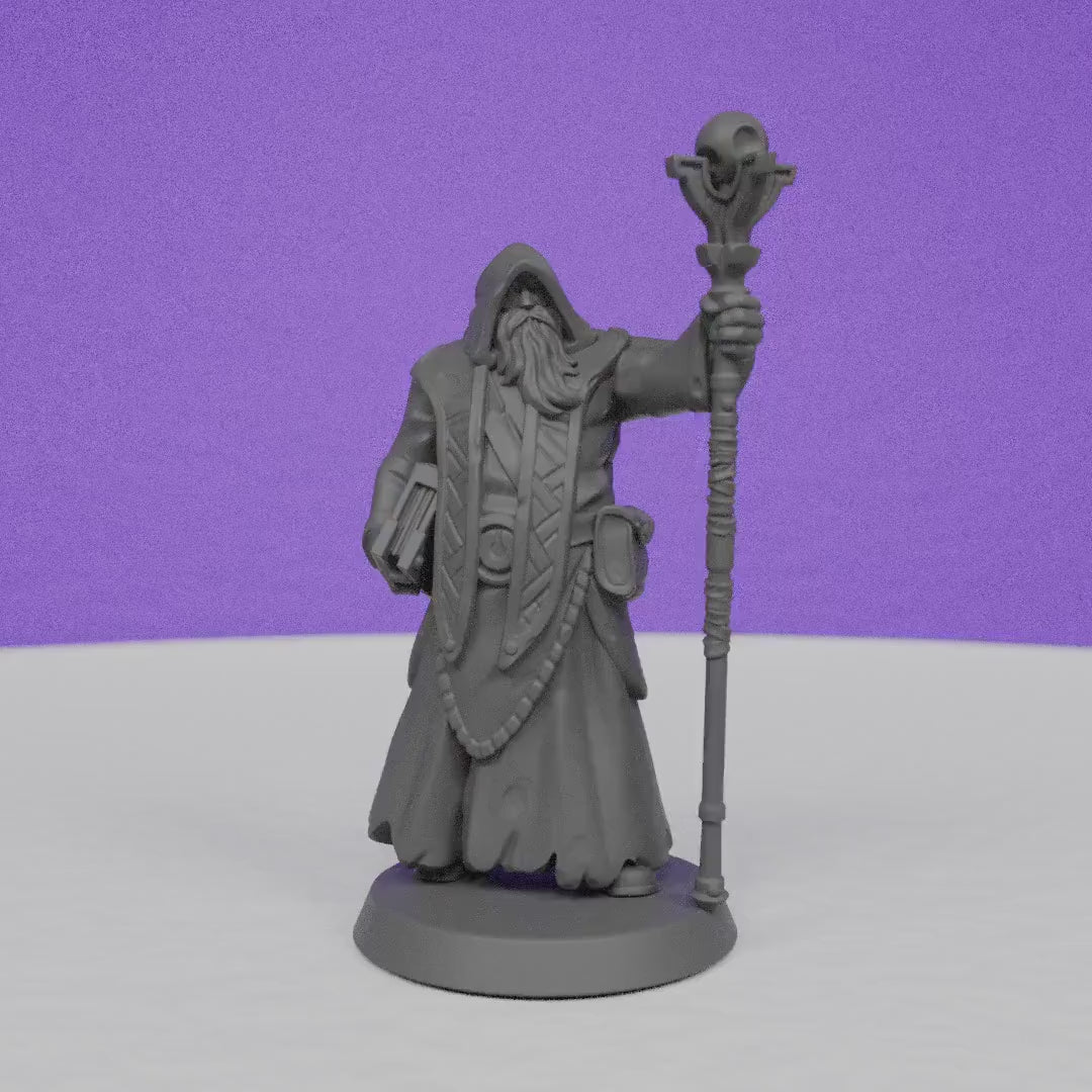 Royal Wizard | Galaad Miniatures | Compatible with D&D/AoS | Fantasy | Tabletop RPG