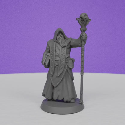 Royal Wizard | Galaad Miniatures | Compatible with D&D/AoS | Fantasy | Tabletop RPG