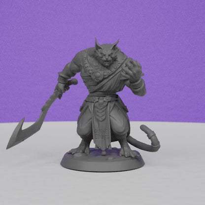 Xindyl The Tabaxi Desert Hunter | Miniatures Blueprint | Compatible with D&D/AoS | Fantasy